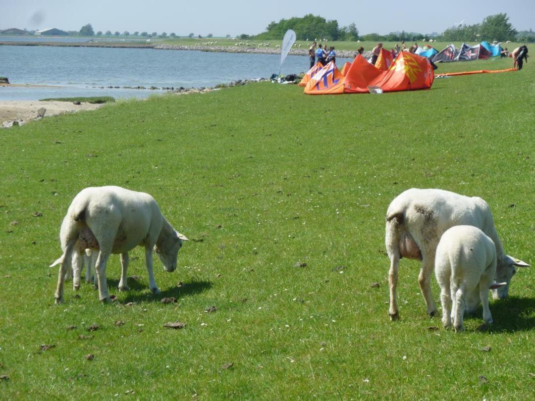 Sonnenoase Apartment Fehmarn